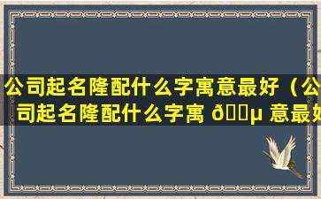 公司起名隆配什么字寓意最好（公司起名隆配什么字寓 🐵 意最好三个字的）